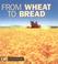 Go to record From wheat to bread