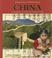 Go to record China : a primary source cultural guide