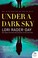 Go to record Under a dark sky : a novel