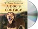 Go to record A dog's courage