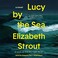 Go to record Lucy by the sea  a novel